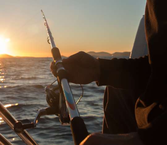 Twilight Fishing